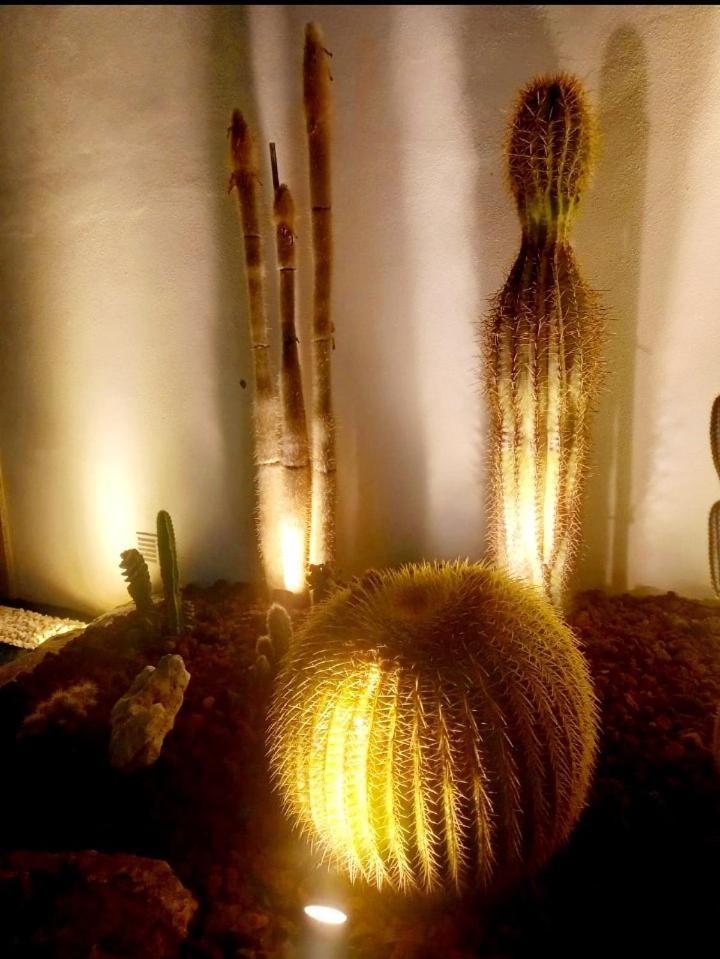 モレド Casa De Moledoヴィラ エクステリア 写真